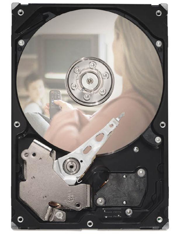 9GC132-180 Seagate 320GB 5900RPM SATA 3GB/s 3.5-inch Hard Drive