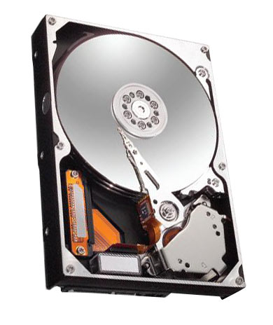 ST9250612NS Seagate Constellation.2 250GB 7200RPM 64MB ...